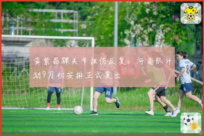 黄紫昌踝关节扭伤反复，河南队计划9月初安排正式复出