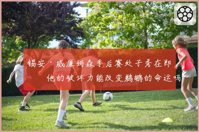 锡安·威廉姆森季后赛处子秀在即，他的破坏力能改变鹈鹕的命运吗？