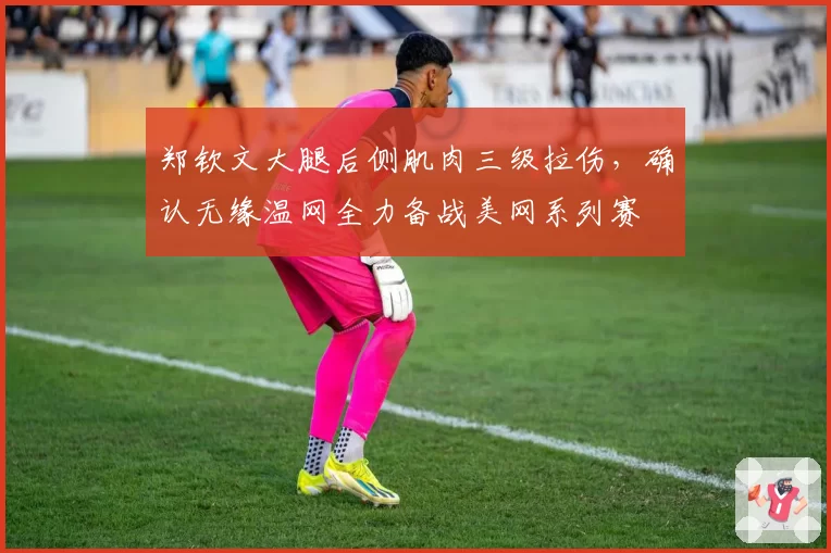 郑钦文大腿后侧肌肉三级拉伤，确认无缘温网全力备战美网系列赛